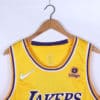 Camiseta LeBron James #06 Los Angeles Lakers Diamond 75th 2022 【24,90€】 |  TCNBA