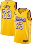 Camiseta Lebron James 23 Lakers The city 2020