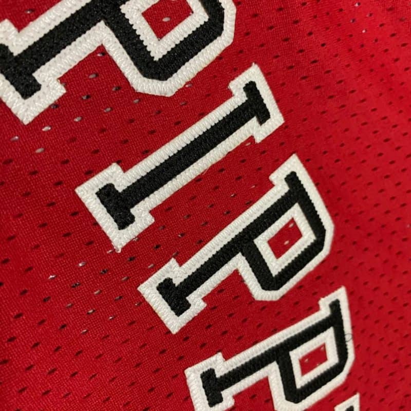 Camiseta Scottie Pippen #33 Chicago Bulls 【24,90€】